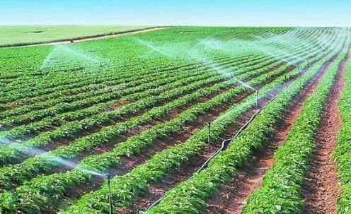 嗯嗯啊啊啊啊啊,舒服插的好舒服视频农田高 效节水灌溉